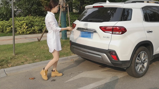 Hunderampe Auto Klappbar 90 kg, Teleskop Alu, 99-182 cm, für kleine bis große Hunde